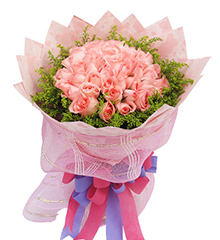 粉色浪漫：50枝粉玫瑰