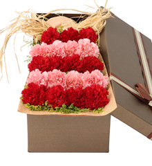 暖暖的爱：19朵康乃馨礼盒 母亲节生日鲜花